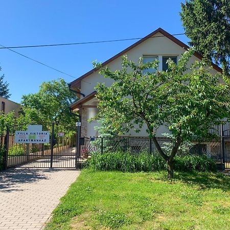 Villa Viktoria Mestecǎneşti Exterior foto