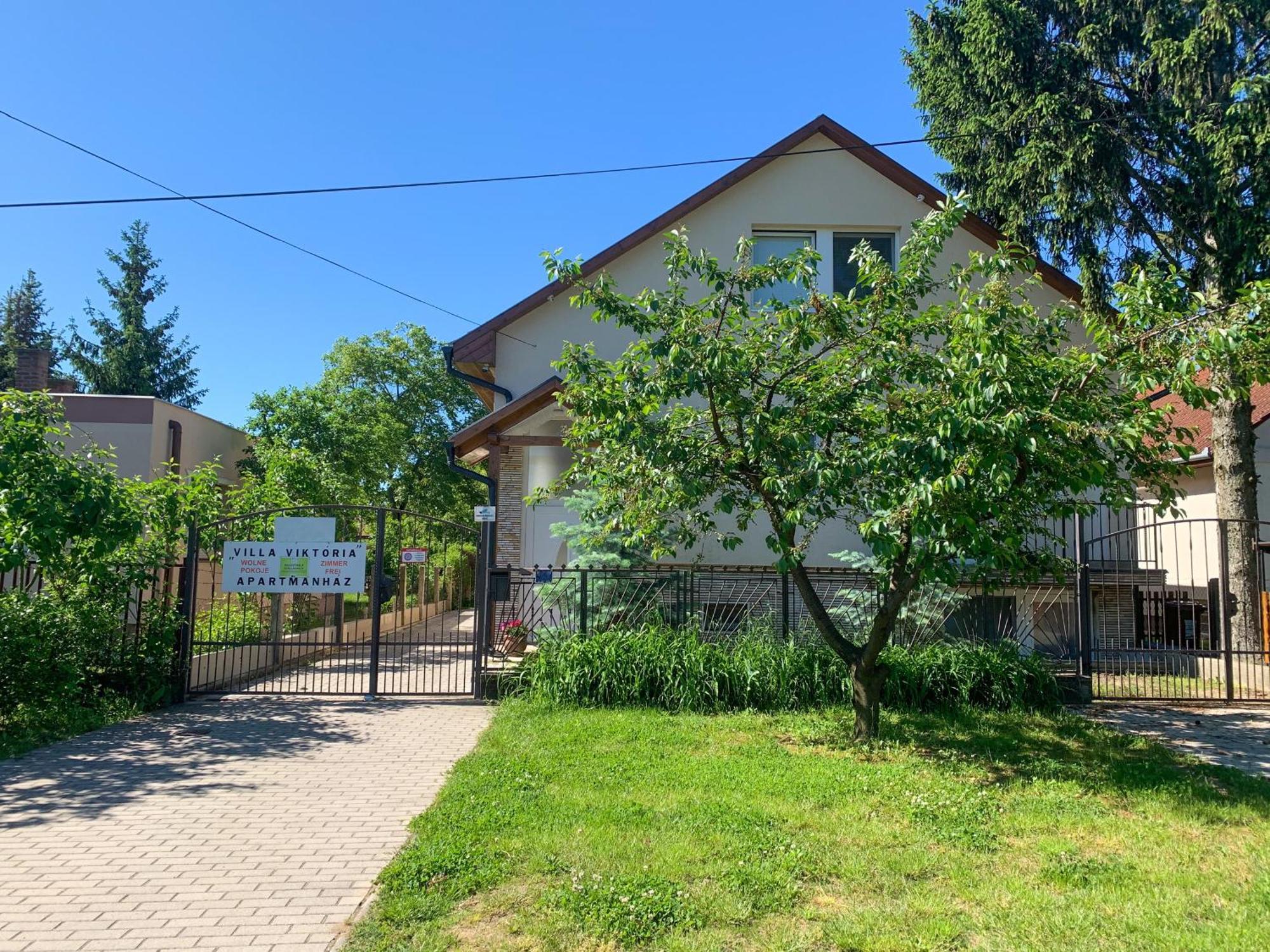 Villa Viktoria Mestecǎneşti Exterior foto