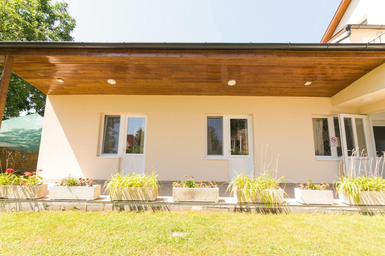 Villa Viktoria Mestecǎneşti Exterior foto